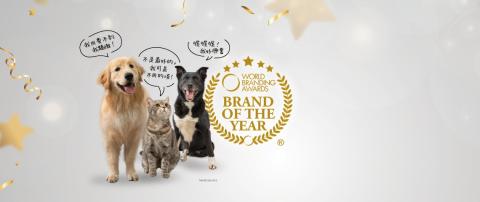 34d brand of the year